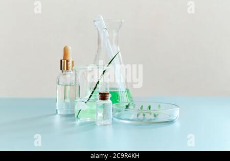 Sortierte Glasflaschen und Flaschen mit grünen Pflanzen auf dem Tisch im modernen Labor angeordnet Stockfoto