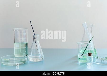 Sortierte Glasflaschen und Flaschen mit grünen Pflanzen auf dem Tisch im modernen Labor angeordnet Stockfoto