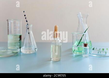 Sortierte Glasflaschen und Flaschen mit grünen Pflanzen auf dem Tisch im modernen Labor angeordnet Stockfoto