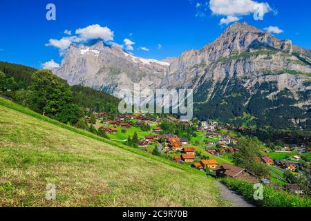 Beliebter Sommer-Bergort mit grünen Feldern und hohen schneebedeckten Bergen im Hintergrund, Grindelwald, Berner Oberland, Schweiz, Europa Stockfoto