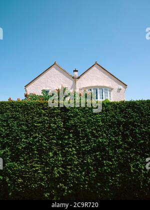 Ein vorstädtisches Wohnhaus mit Doppelkegeln, halb versteckt hinter einer hohen grünen Gartenhecke. - Dach - Haus - Haus - Hecke - Eigentum Stockfoto