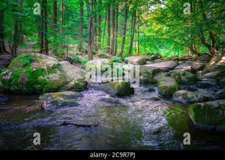 Wandern durch die Hölle. Höllbachtal bei Rettenbach im bayerischen Wald Stockfoto