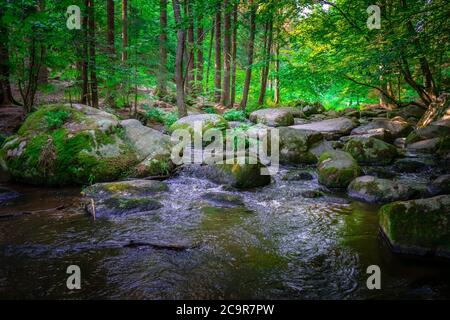 Wandern durch die Hölle. Höllbachtal bei Rettenbach im bayerischen Wald Stockfoto