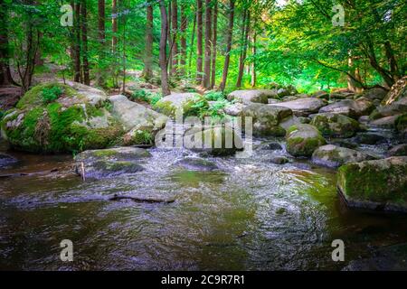 Wandern durch die Hölle. Höllbachtal bei Rettenbach im bayerischen Wald Stockfoto