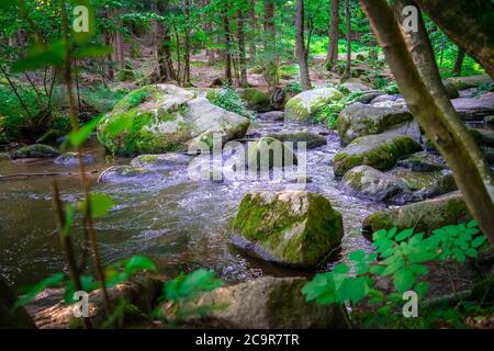 Wandern durch die Hölle. Höllbachtal bei Rettenbach im bayerischen Wald Stockfoto