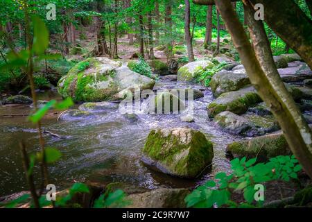Wandern durch die Hölle. Höllbachtal bei Rettenbach im bayerischen Wald Stockfoto