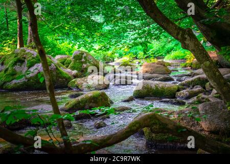 Wandern durch die Hölle. Höllbachtal bei Rettenbach im bayerischen Wald Stockfoto