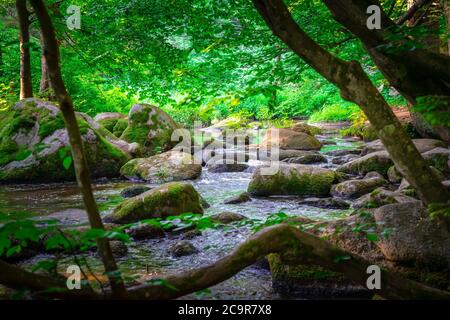 Wandern durch die Hölle. Höllbachtal bei Rettenbach im bayerischen Wald Stockfoto