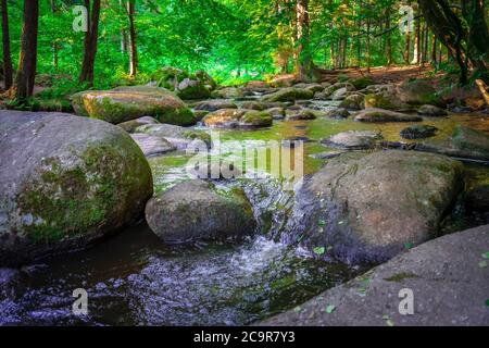 Wandern durch die Hölle. Höllbachtal bei Rettenbach im bayerischen Wald Stockfoto