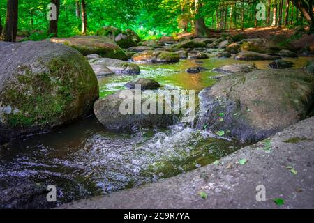 Wandern durch die Hölle. Höllbachtal bei Rettenbach im bayerischen Wald Stockfoto