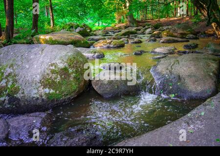 Wandern durch die Hölle. Höllbachtal bei Rettenbach im bayerischen Wald Stockfoto