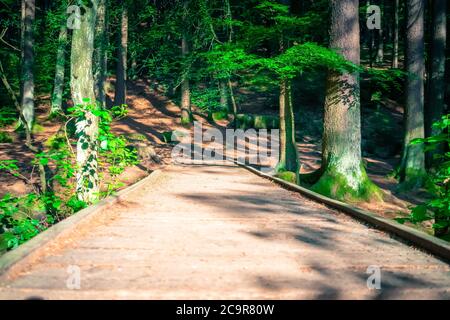 Wandern durch die Hölle. Höllbachtal bei Rettenbach im bayerischen Wald Stockfoto