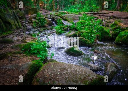Wandern durch die Hölle. Höllbachtal bei Rettenbach im bayerischen Wald Stockfoto