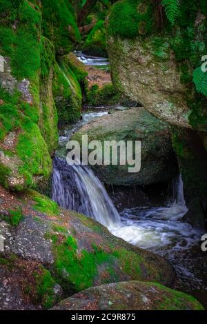 Wandern durch die Hölle. Höllbachtal bei Rettenbach im bayerischen Wald Stockfoto
