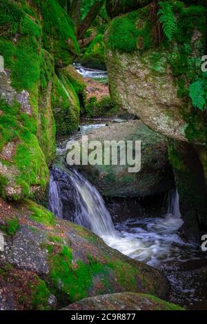 Wandern durch die Hölle. Höllbachtal bei Rettenbach im bayerischen Wald Stockfoto