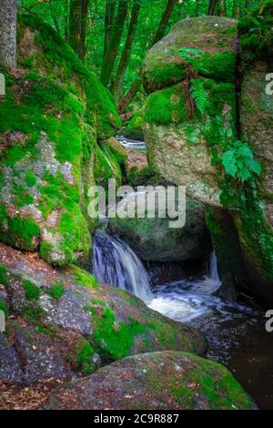 Wandern durch die Hölle. Höllbachtal bei Rettenbach im bayerischen Wald Stockfoto
