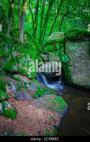 Wandern durch die Hölle. Höllbachtal bei Rettenbach im bayerischen Wald Stockfoto