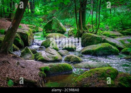 Wandern durch die Hölle. Höllbachtal bei Rettenbach im bayerischen Wald Stockfoto