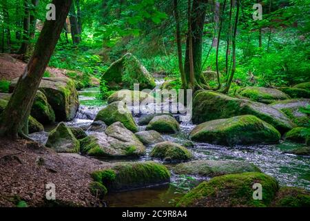 Wandern durch die Hölle. Höllbachtal bei Rettenbach im bayerischen Wald Stockfoto