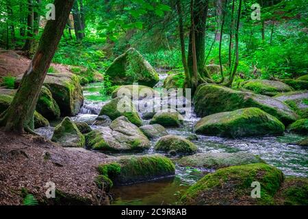 Wandern durch die Hölle. Höllbachtal bei Rettenbach im bayerischen Wald Stockfoto