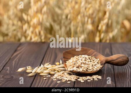 Haferflocken und Feld Stockfoto