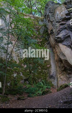 Im Sommer Blick auf eine bewachsene Felswand in einem Wald. Stockfoto