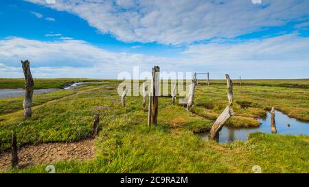 Thornham stolpert an der Nordküste Norfolks. Stockfoto