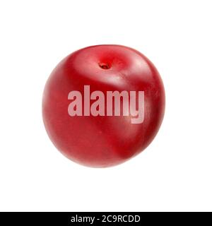 Einzelne Mirabele prune (Prunus domestica syriaca) isoliert auf weißem Hintergrund. Stockfoto