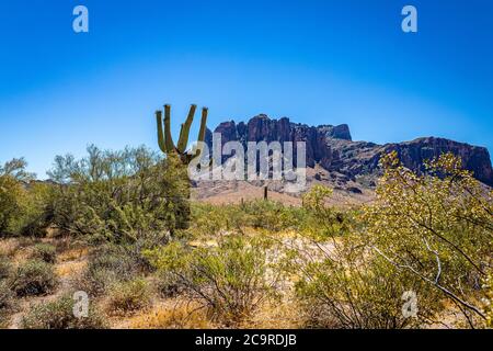 Blick auf die Wüste entlang der Arizona State Rout 88, einer ehemaligen Postkutschenroute, die als Apache Trail bekannt ist. Stockfoto