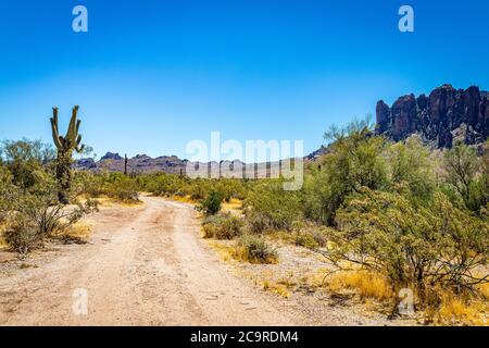 Blick auf die Wüste entlang der Arizona State Rout 88, einer ehemaligen Postkutschenroute, die als Apache Trail bekannt ist. Stockfoto