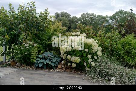 Moderne, weiß blühende Terrasse in einem neuen Wohngebiet Stockfoto