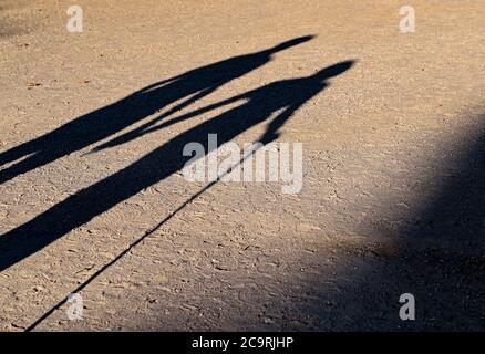 Neuhardenberg, Deutschland. August 2020. Zwei ältere Menschen gehen Hand in Hand mit einem Gehstock über einen Pfad und werfen einen langen Schatten. Quelle: Patrick Pleul/dpa-Zentralbild/ZB/dpa/Alamy Live News Stockfoto