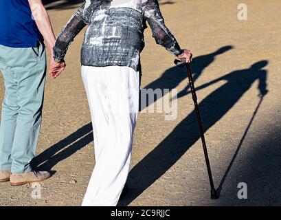 Neuhardenberg, Deutschland. August 2020. Zwei ältere Menschen gehen Hand in Hand mit einem Gehstock über einen Pfad und werfen einen langen Schatten. Quelle: Patrick Pleul/dpa-Zentralbild/ZB/dpa/Alamy Live News Stockfoto