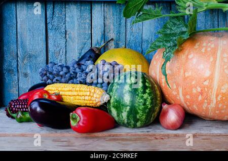 Herbsternte: Kürbis, Melone, Wassermelone, Trauben, Mais, Auberginen, Paprika, Zwiebeln Stockfoto