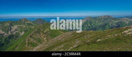 Panoramablick vom Gipfel Baranec auf die westliche Tatra oder Rohace Panorama. Scharfe grüne Berge - ostry rohac, placlive und volovec mit Wandern Stockfoto