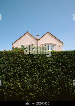 Eine typische M-förmige / Doppel-schräg / doppelt Giebeldach Vorstadthaus-Gebäude-Architektur halb versteckt hinter einem hohen grünen Garten Hecke & blauen Himmel. Stockfoto