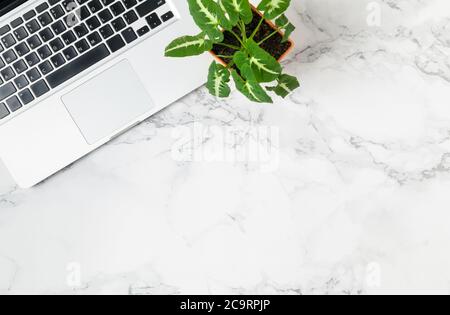 Flacher Bürotisch mit Blick von oben. Arbeitsplatz mit Laptop und kleinem Pflanztopf auf Marmorhintergrund. Stockfoto