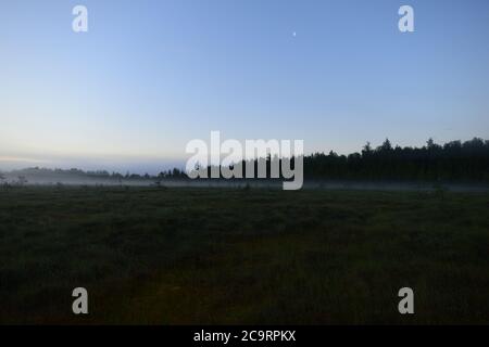 Blauer, klarer Mondschein-Himmel über einem Waldsumpf im Vordämmernebel Stockfoto