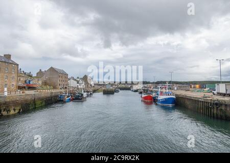 Burghead Village und Hafen, Moray, Schottland Stockfoto