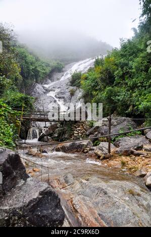 Ein Bach mit einem rauschenden Wasserfall fließt einen felsigen und felsigen Hang hinunter. Eine kleine Holzbrücke überspannt den Fluss. Neblige Situation in Sapa, Vietnam. Stockfoto