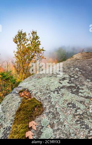 Morgennebel steigt über South Meadow, von Mt Van Hoevenberg, Adirondack High Peaks Region, Essex County, New York Stockfoto