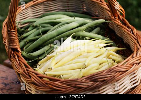 Rohes grünes Essen. Gesundes vegetarisches Konzept, frische grüne Lebensmittel Auswahl für Detox-Diät Stockfoto