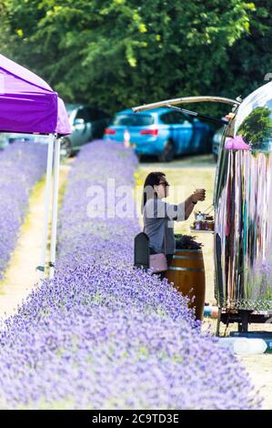 Besucher der Mayfield Lavender Farm, die Esswaren im Café Point Banstead, Surrey, England, kaufen Stockfoto