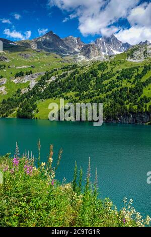 See, Stausee, am Plan d'Amont, oberhalb Aussois, Vanoise Nationalpark, Frankreich Stockfoto