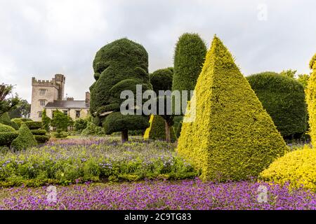 Älteste formgehölze Park in der Welt mit fantastisch geformten Pflanzen am Levens Hall in Cumbria, Großbritannien. Stockfoto