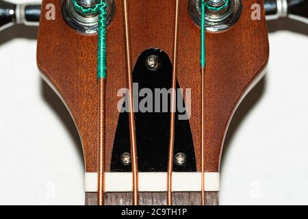 Hals einer akustischen Bassgitarre mit Saitenbefestigung Stockfoto
