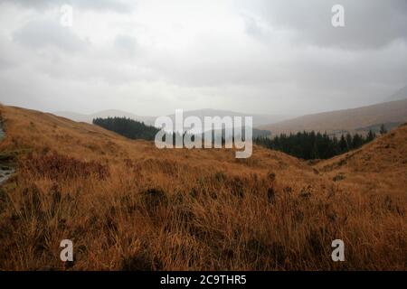 Entlang des West Highland Ways im November in Schottland. Stockfoto