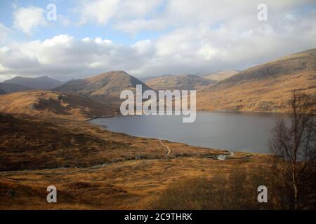 Entlang des West Highland Ways im November in Schottland. Stockfoto