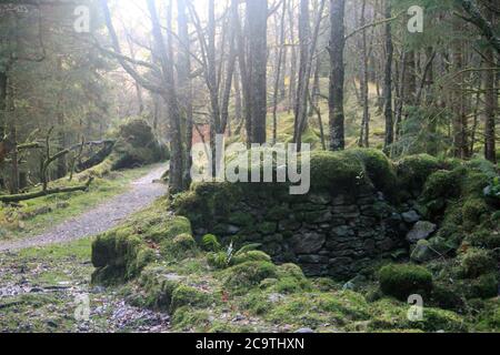 Entlang des West Highland Ways im November in Schottland. Stockfoto