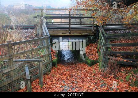 Entlang des West Highland Ways im November in Schottland. Stockfoto